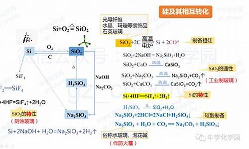 非金属单质与其化合物的转化_非金属单质与其化合物的转化规律