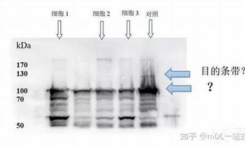 w是一种含氧酸盐b是常见的金属单质_w是一种含氧酸盐b是常见